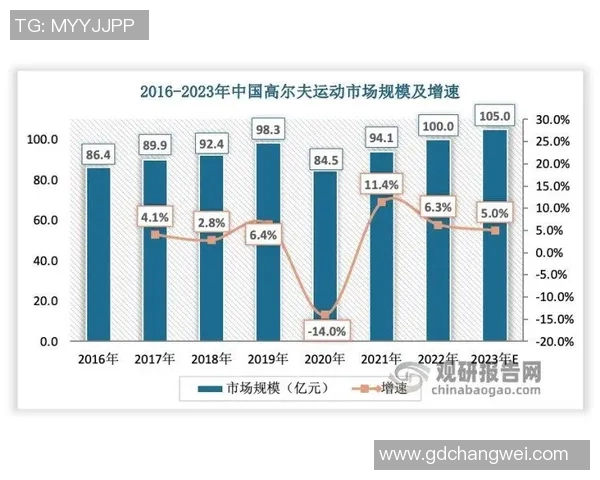 深圳排球队战术解析与发展策略探讨助力球队提升竞技水平