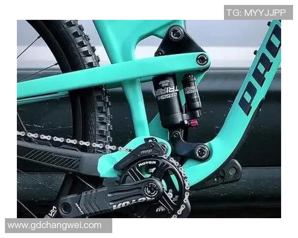 广州极限运动队与杭州极限运动队的速度较量赛后分析与总结