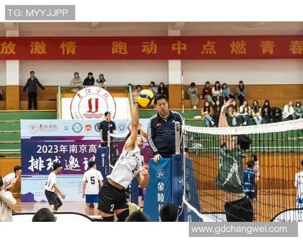 聚焦排球成都排球队如何通过团队协作提升竞技水平与凝聚力