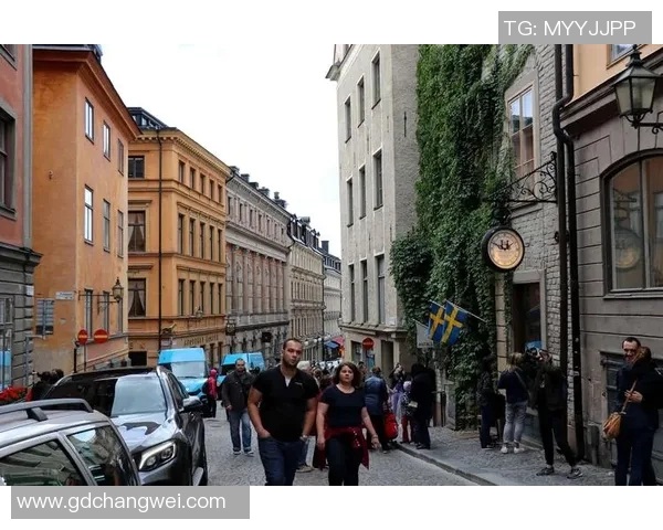 足球明星与空姐的浪漫故事探寻与小说推荐之旅