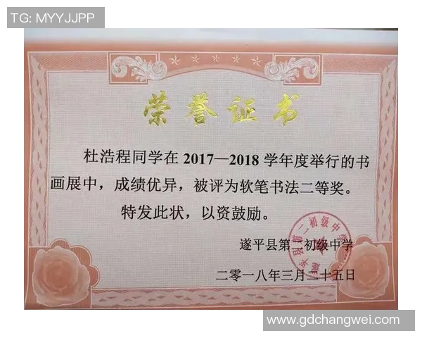 南京排球队的成长之路：挑战赛中的拼搏与荣耀