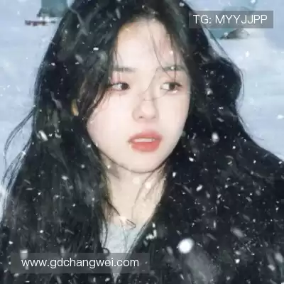 曹泽莎
