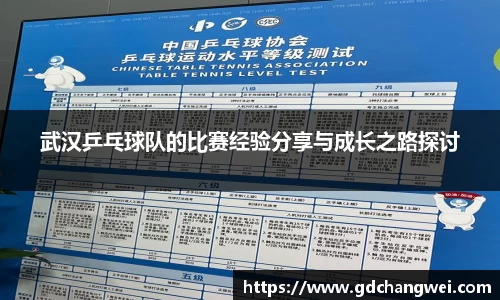 武汉乒乓球队的比赛经验分享与成长之路探讨