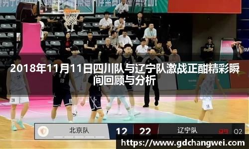 2018年11月11日四川队与辽宁队激战正酣精彩瞬间回顾与分析
