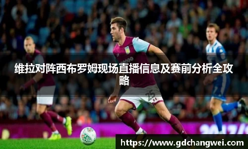 维拉对阵西布罗姆现场直播信息及赛前分析全攻略