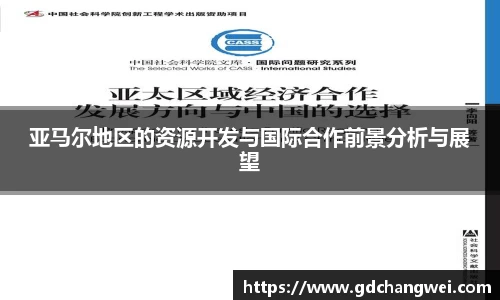 亚马尔地区的资源开发与国际合作前景分析与展望