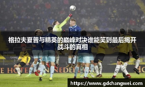 格拉夫夏普与精英的巅峰对决谁能笑到最后揭开战斗的真相