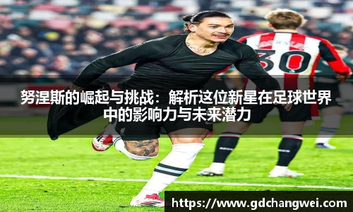 努涅斯的崛起与挑战：解析这位新星在足球世界中的影响力与未来潜力