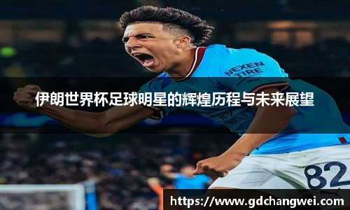 伊朗世界杯足球明星的辉煌历程与未来展望